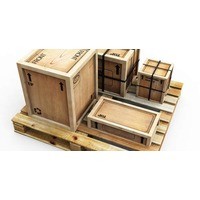 Cadano Cargo Transport Services, Incorporated