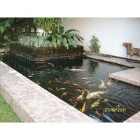 silva ice plant in lipa city, batangas - yellow pages ph